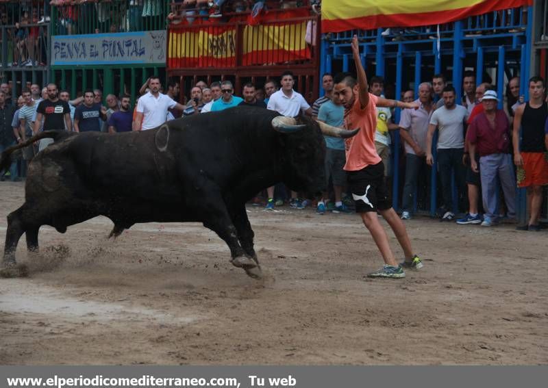 GALERÍA DE FOTOS -- Burriana finaliza las fiestas de la Misericordia 2015