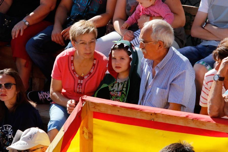 Fiestas en Zamora: Último encierro en Fermoselle