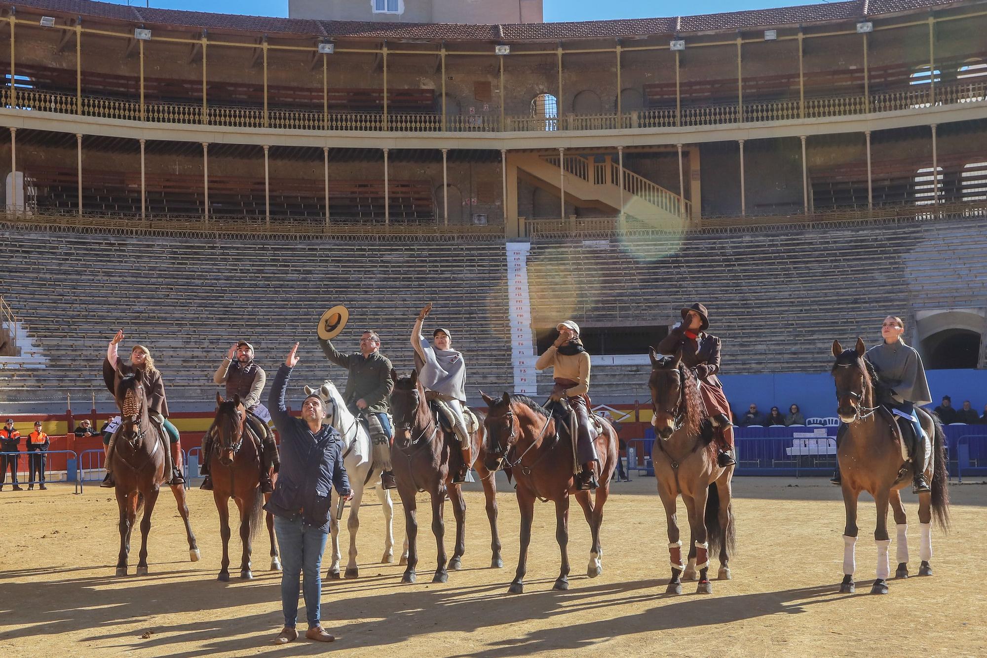 Concurso ecuestre y Bendición de animales por San Antón en Alicante