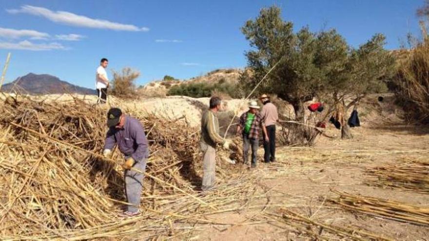 Solidaridad vecinal para labrar un futuro