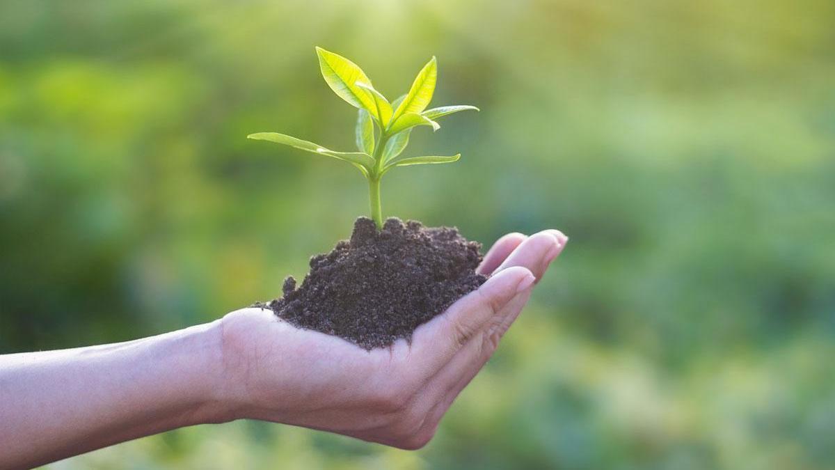 Finanzas sostenibles, programa online de Fundación Ibercaja para ayudar a las empresas a adaptarse al cambio climático