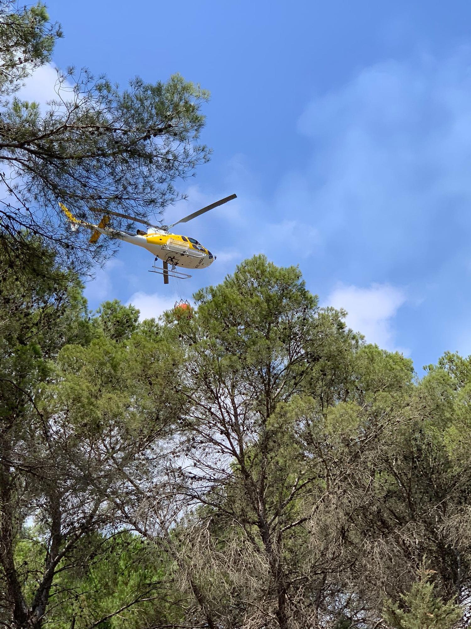 Incendio forestal en Ibiza