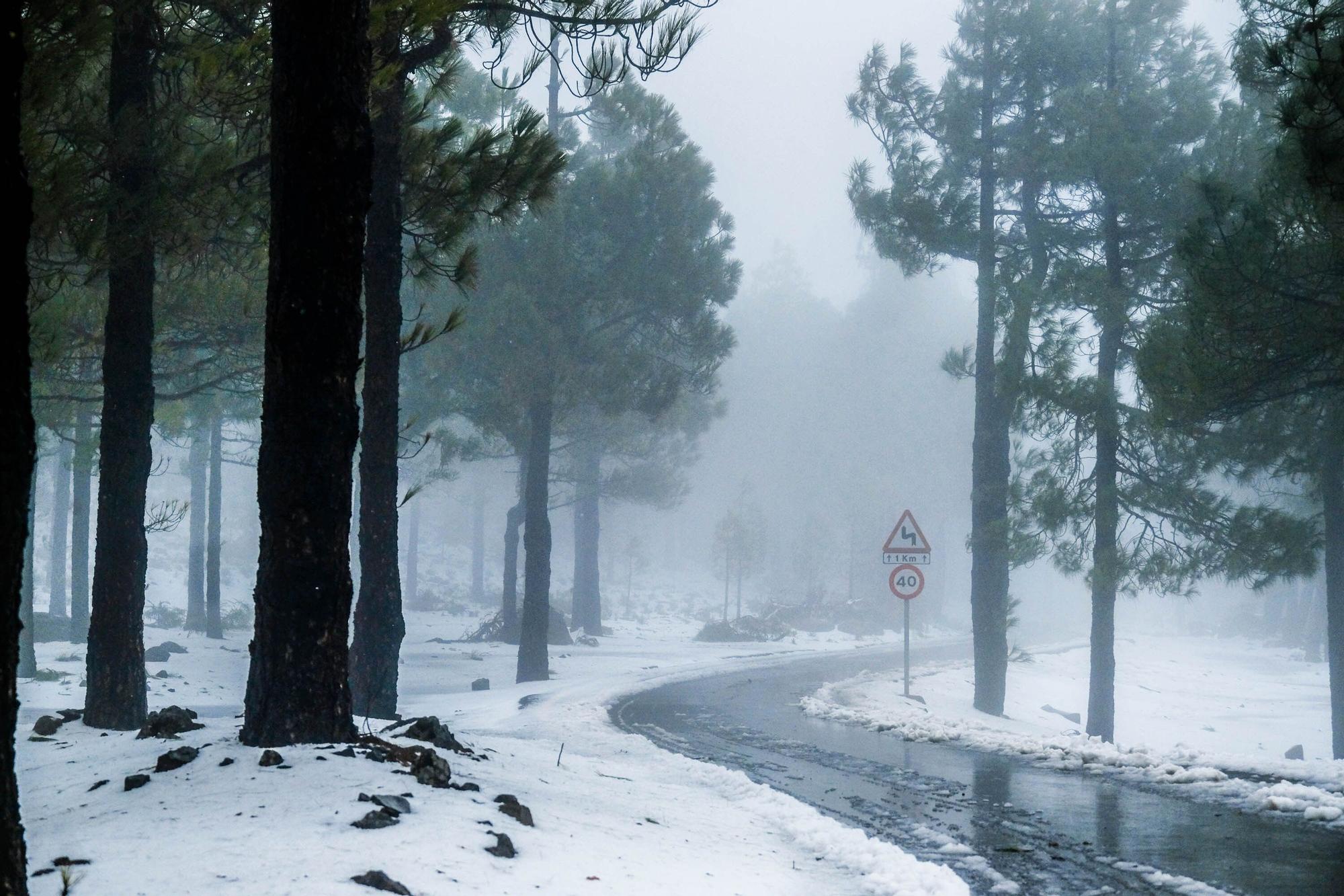 Nieve en la cumbre de Gran Canaria (15/03/2022)