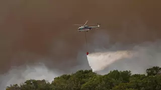 El Infoca estima que el incendio de Tarifa ha afectado a 283 hectáreas