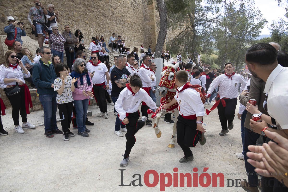 Fiestas de Caravaca | Desfile infantil del Bando de los Caballos del Vino
