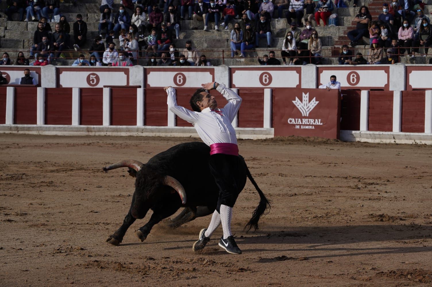 Concurso de Cortes Zamora 2021