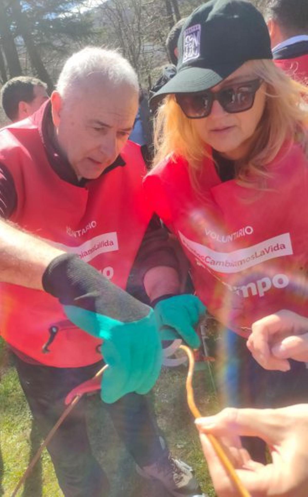 Alcampo participa en la recuperación del chordón del Moncayo