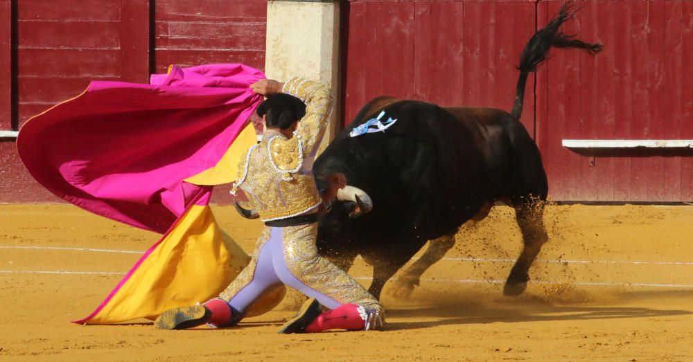 Saúl Jiménez Fortes se encierra con seis toros en la Feria Taurina