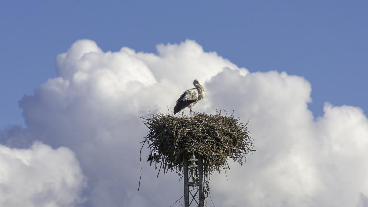 Fotogalería| Tiempo primaveral este jueves