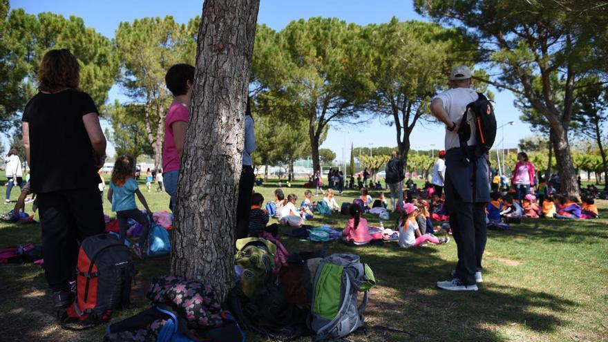 Una anul·lació sobtada impedeix a 300 escolars de Sant Vicenç anar d&#039;excursió