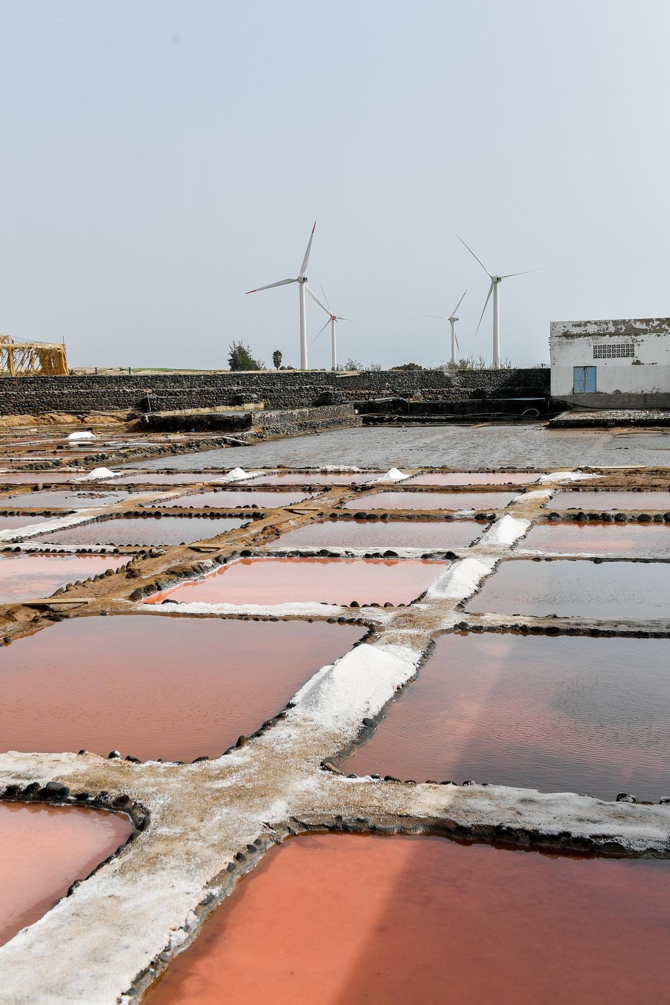 Salinas de Vargas