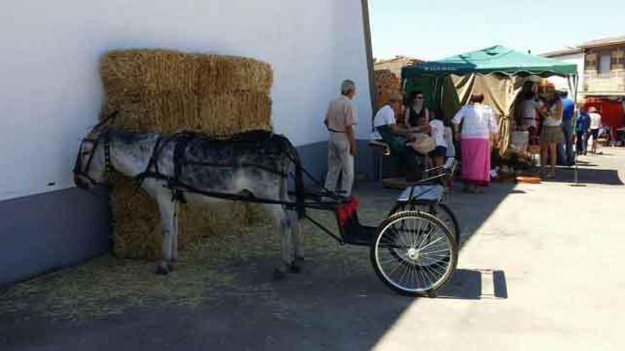 Villaescusa retorna al pasado La Opinión de Zamora