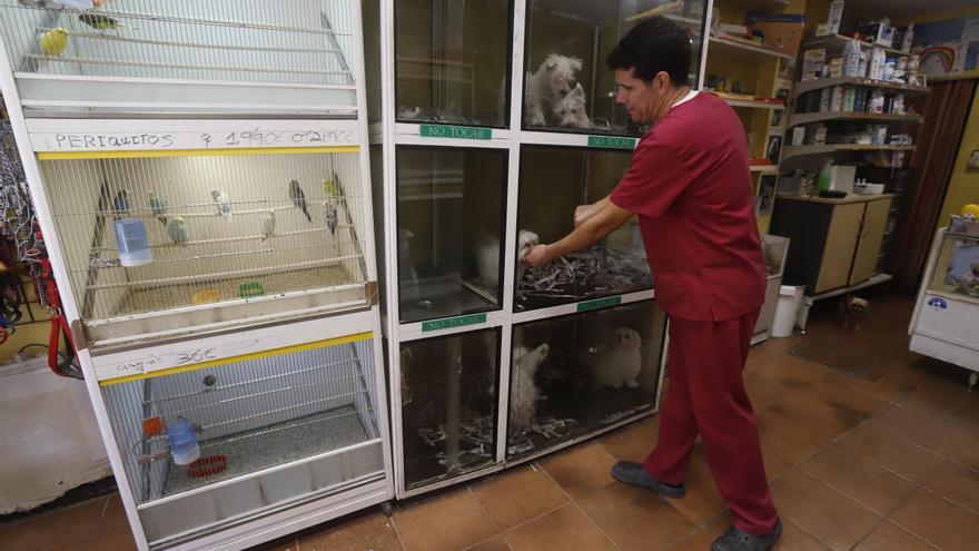 La prohibición de vender animales forzará el cierre de varios comercios en Zaragoza