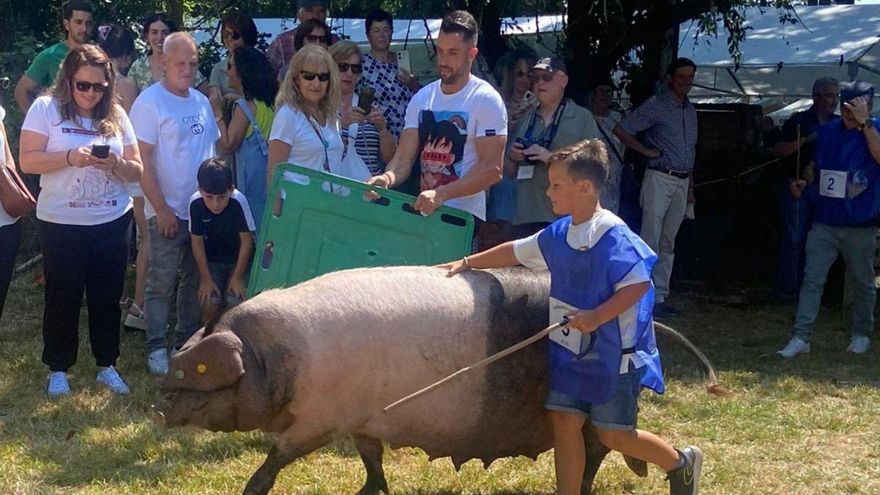 Muere Galiciña, una cerda de pasarela