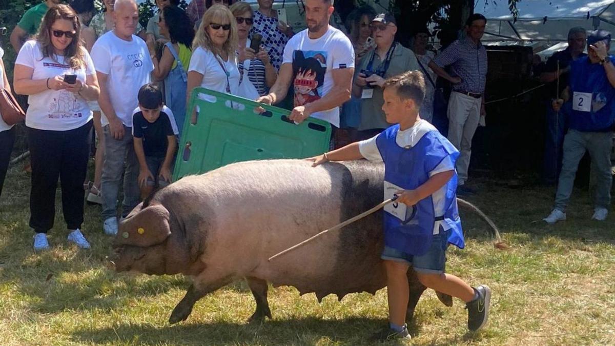 Anxo y Galiciña, en una de las pruebas del concurso de manejo de Gomeán.