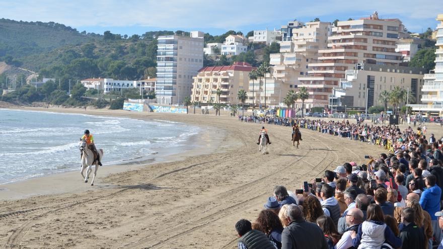 Las imágenes más vistosas de la carrera de caballos y burros de Orpesa por Sant Antoni