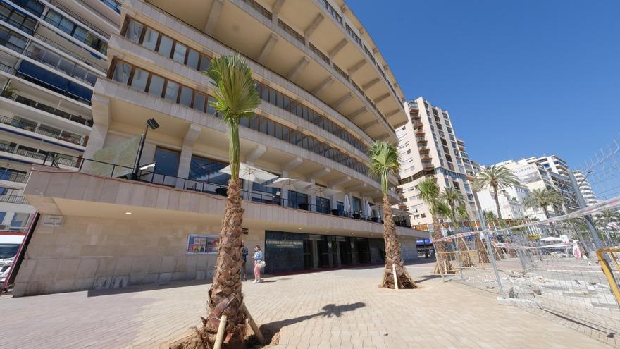 Obras en el Paseo Marítimo: Las fotos de las 29 palmeras plantadas frente al Auditòrium