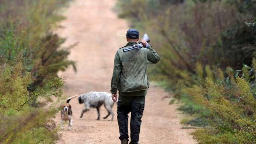 Un cazador en una pista forestal de Portas. // Gustavo Santos