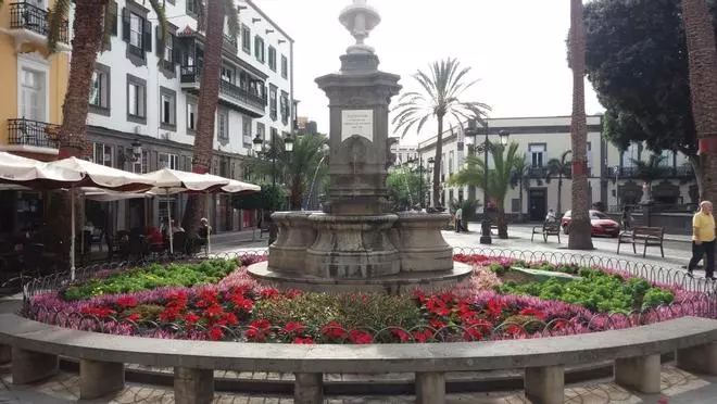 25.000 pascuas para vestir de Navidad la ciudad