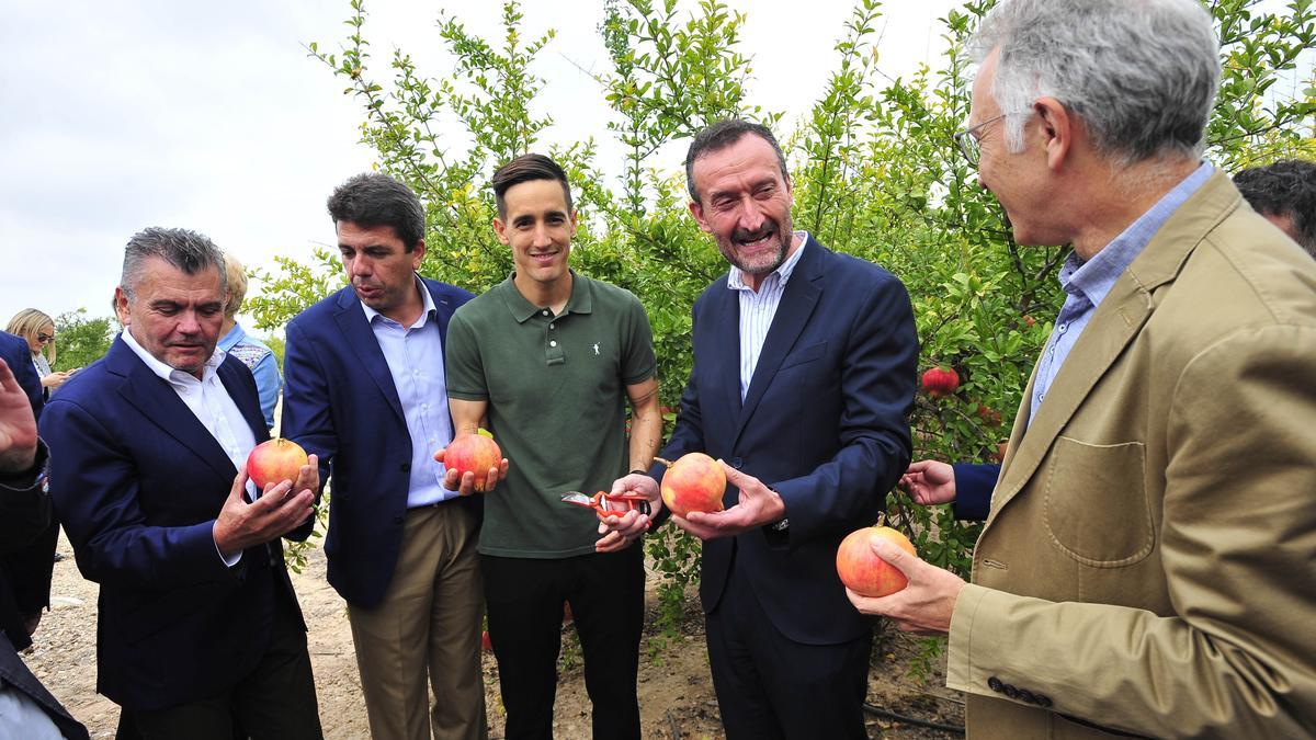 Oliva, Mazón, Badia, González y Llanes, en el acto del primer corte de la granada mollar, que arranca la campaña