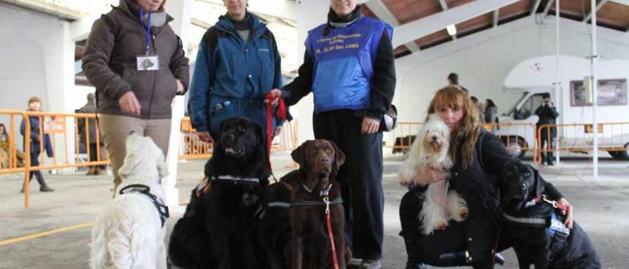 Ángela Álvarez, Pilar Martínez, María de la Fuente y Amelia Suárez con sus perros, el año pasado en la feria de Tineo.