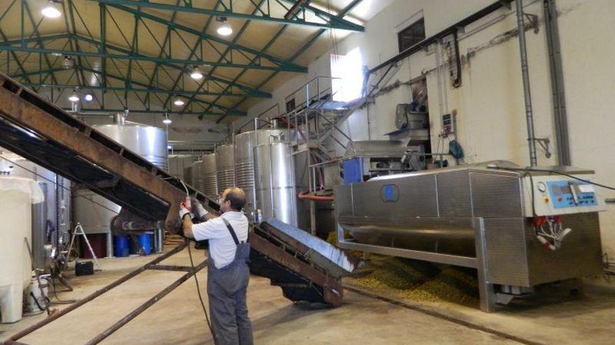 Bodega de la Tierra del Vino de Zamora.