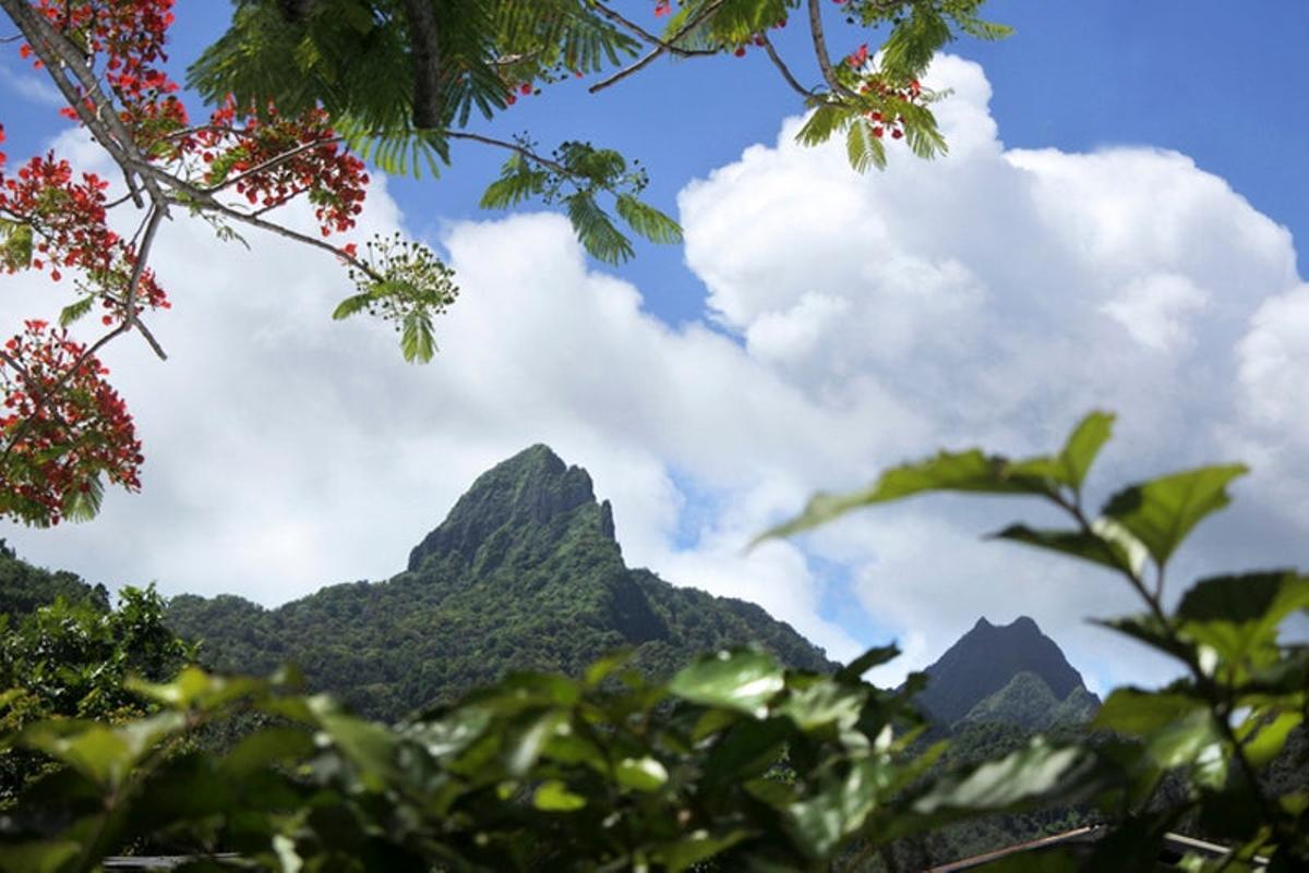 Te Manga en las Cook Islands