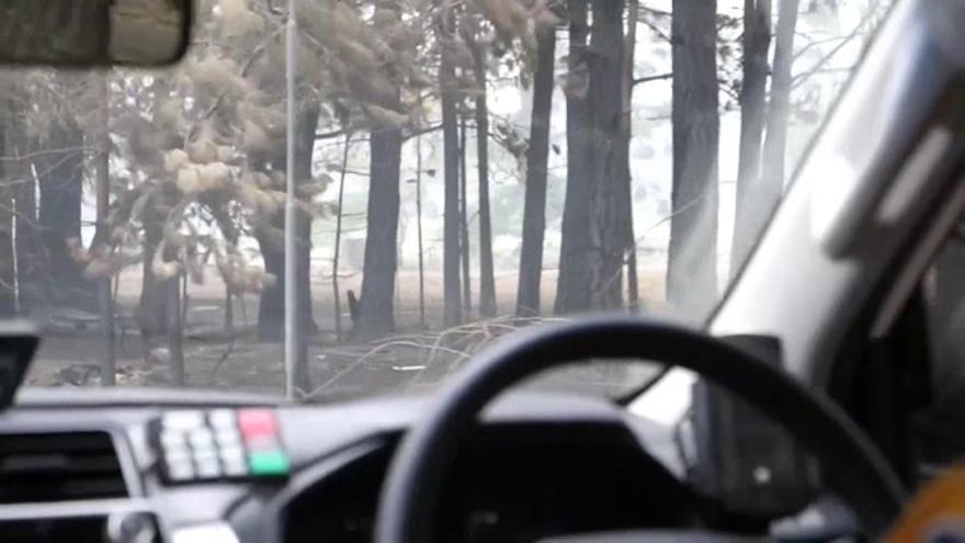 Australia extiende el estado de desastre en las zonas afectadas por incendios