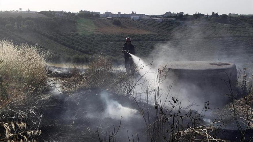 Un incendio arrasa una zona de pastos en la Cañada del Madroño