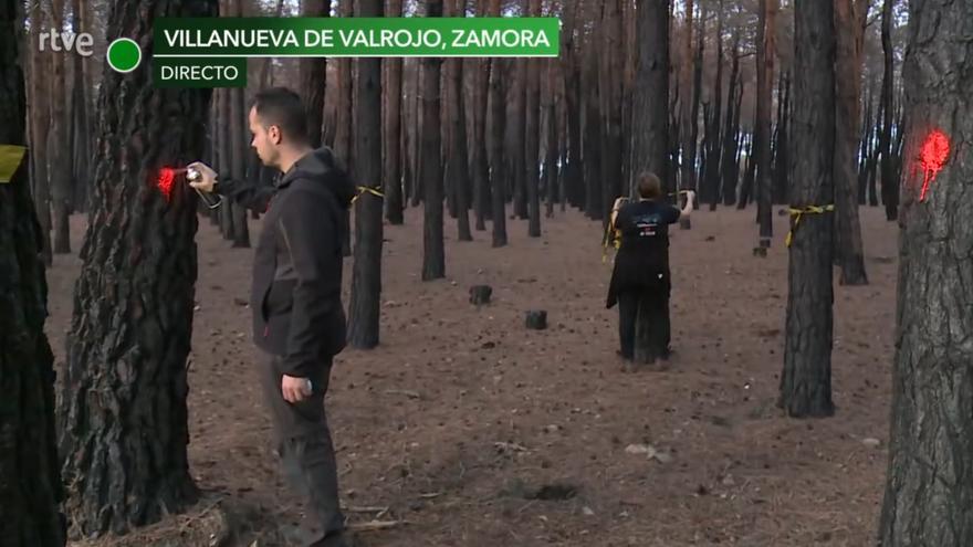 El renacer de la Sierra de la Culebra, en Televisión Española