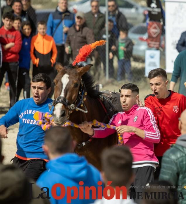 Carrera de entrenamiento de los Caballos del Vino