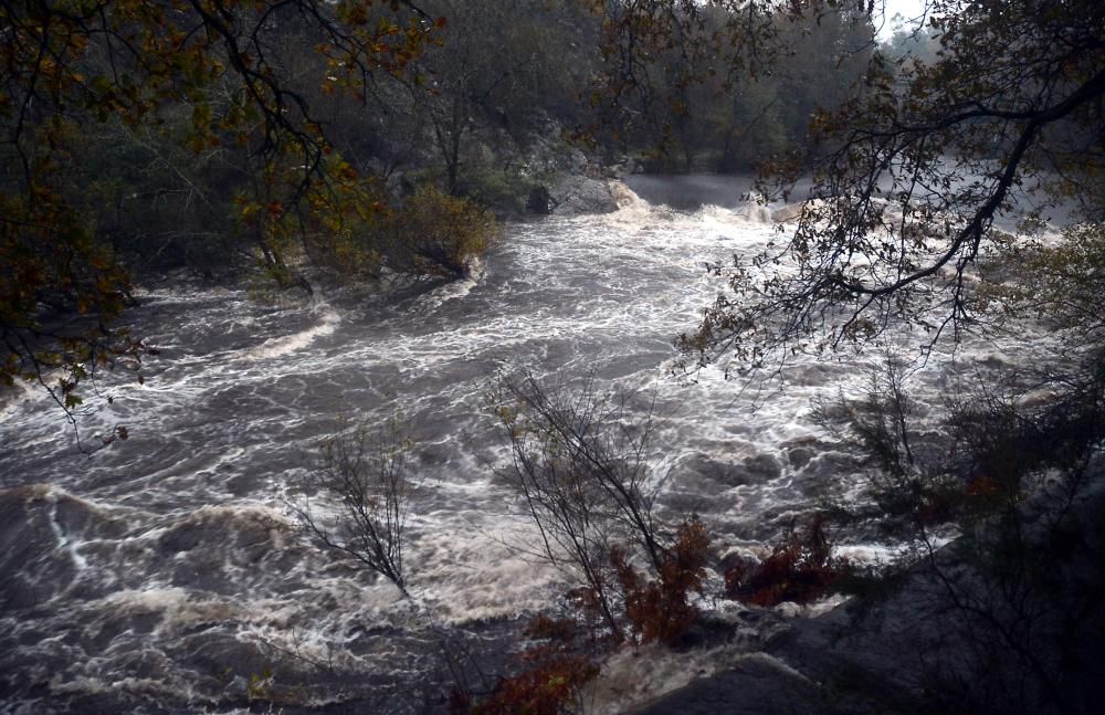 Cercida del río Lérez a su paso por Monte Porreiro.