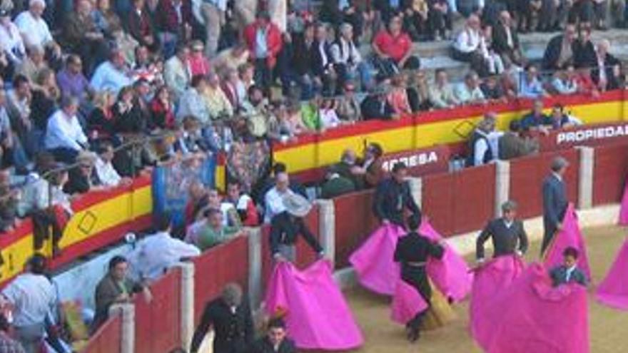 800 personas recogerán firmas en favor de una ley que prohíba las corridas de toros