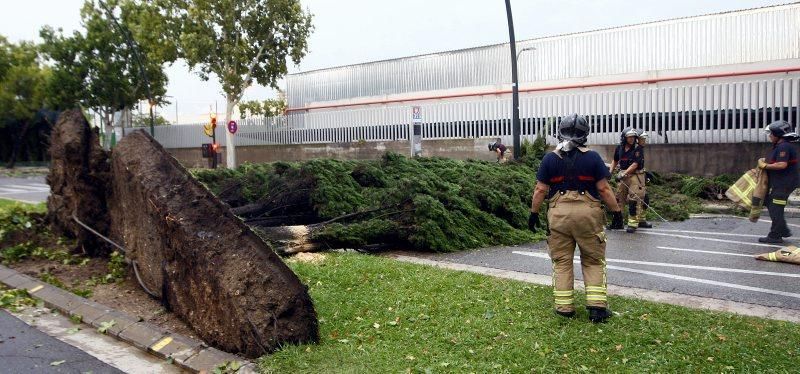 Fuerte tormenta en Zaragoza