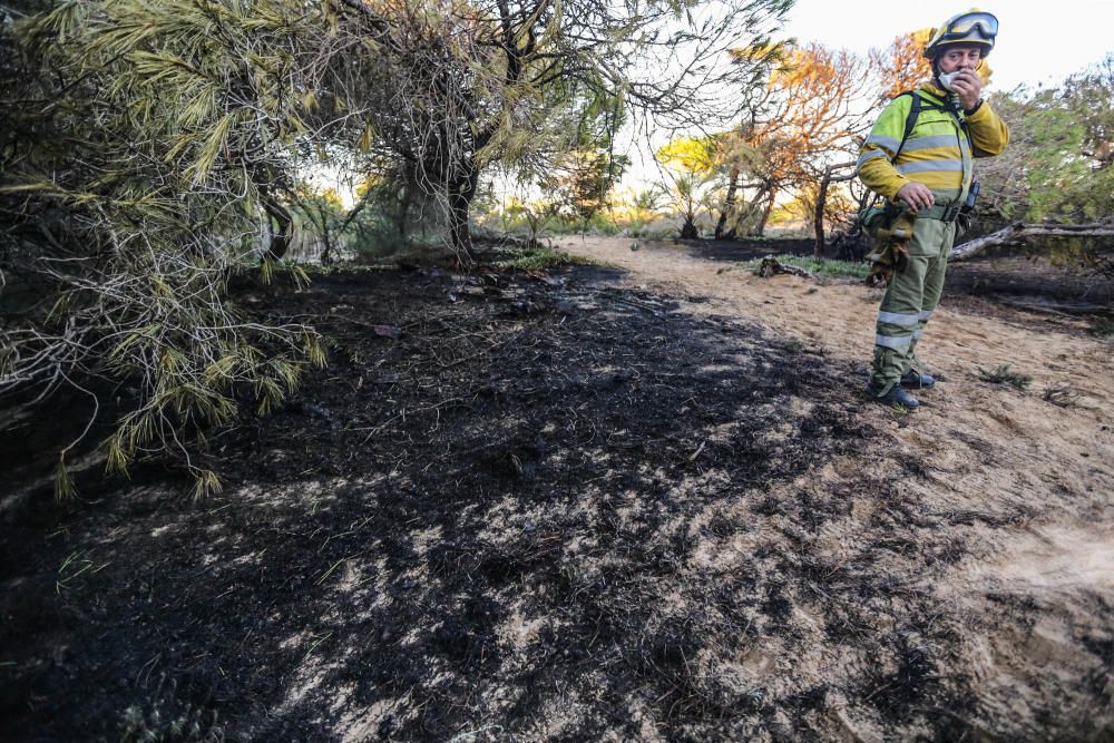 Labores de extinción del nuevo incendio en Guardamar del Segura, el cuarto en diez dias