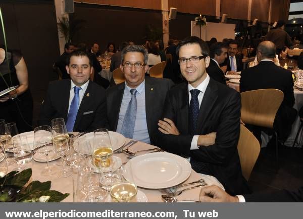 GALERÍA DE FOTOS - Gala Empresa del Año de Mediterráneo III - IV