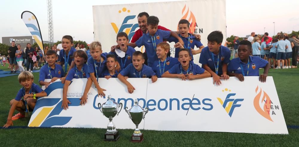 Campeones futbol 8