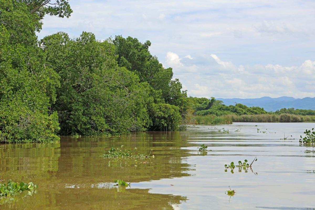 Black River, Jamaica