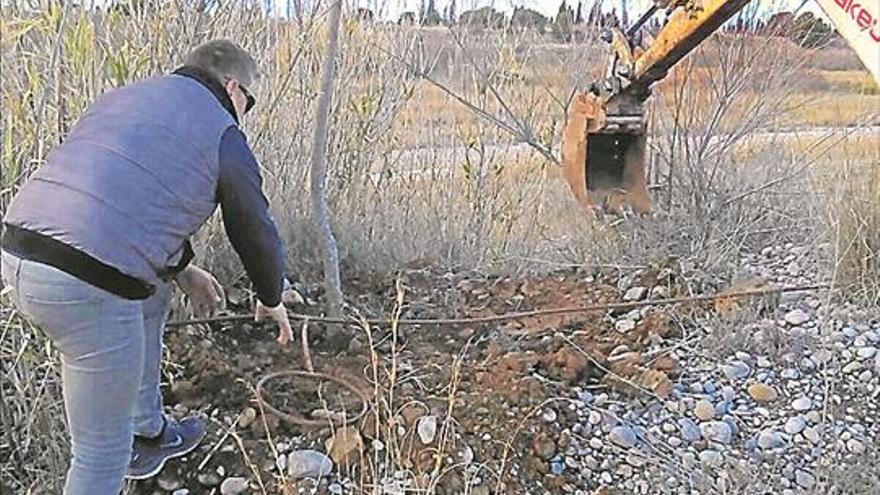 Repueblan con más árboles de ribera la senda del Millars