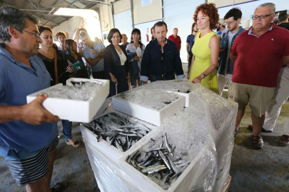 Jornadas Profesionales de Pesca Turismo en Torrevieja