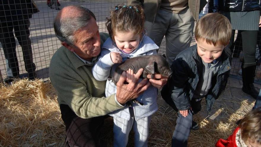 Tomeu Torres, presidente de la Asociación de Criadores de Porc Negre, muestra a unos niños un lechoncillo de &#039;porc negre&#039; en Sineu.