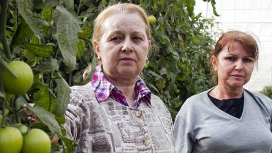 Las hermanas Martina (izq.) y Carmen son aparceras. i J. C. GUERRA