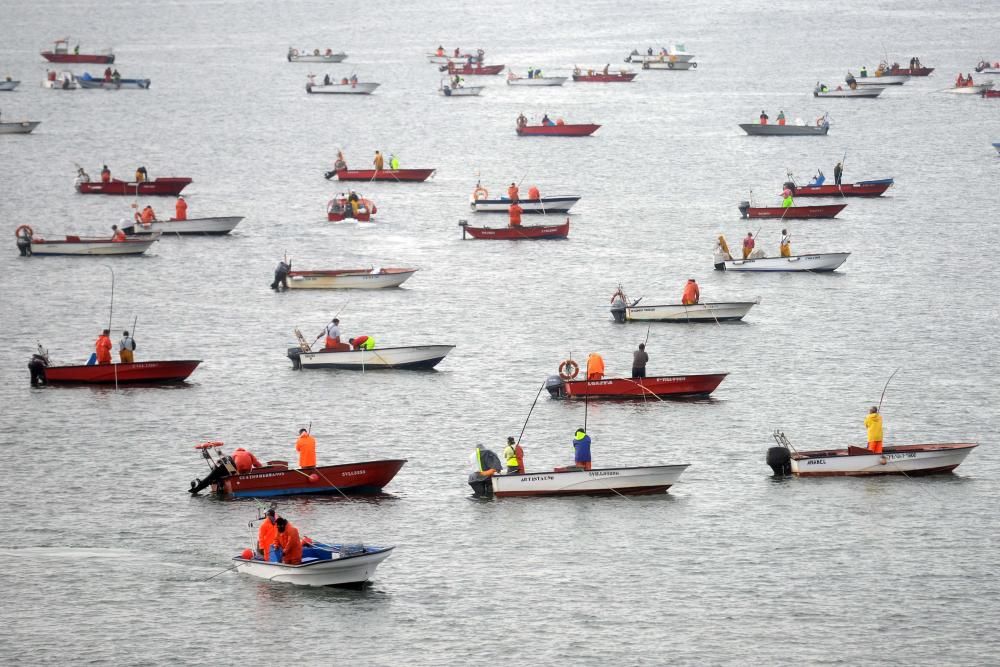 Libre marisqueo bajo el puente de A Illa