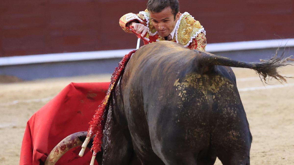 El diestro Damián Castaño, que confirmó su alternativa, entra a matar a uno de sus dos toros este lunes, en Las Ventas de Madrid.