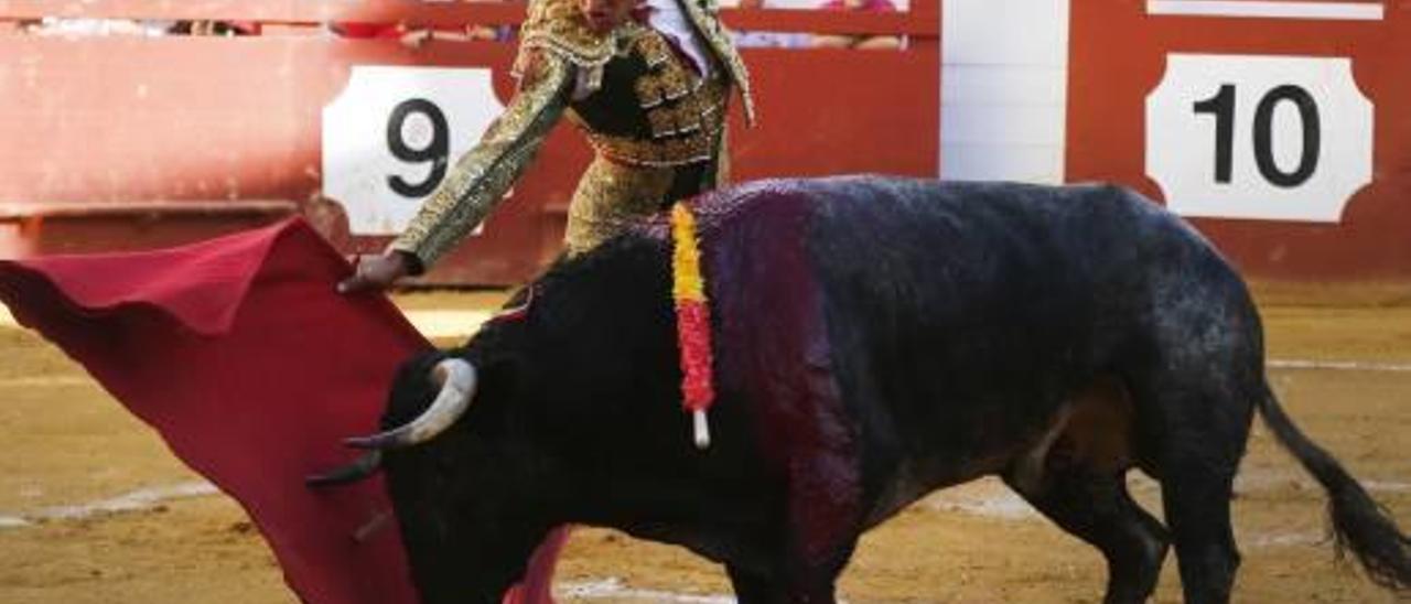 Téllez cuaja un gran novillo  de Flor de Jara en Algemesí