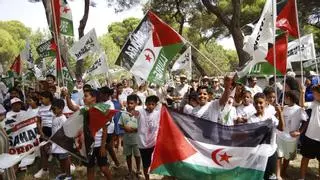 El Pinar del Grau acoge el 'Encuentro de niños y niñas saharauis'