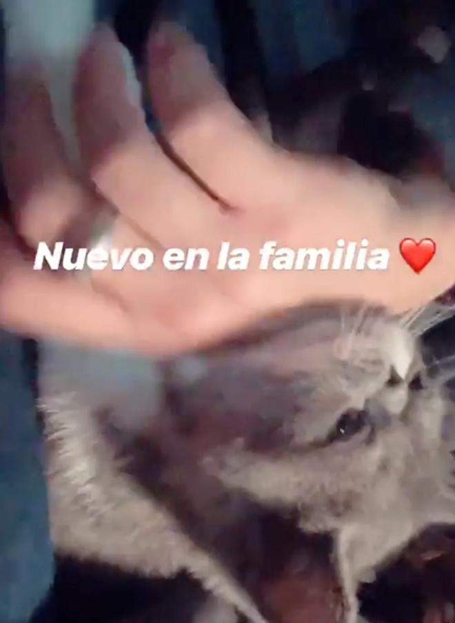 La nueva mascota de Jaime Lorente y María Pedraza