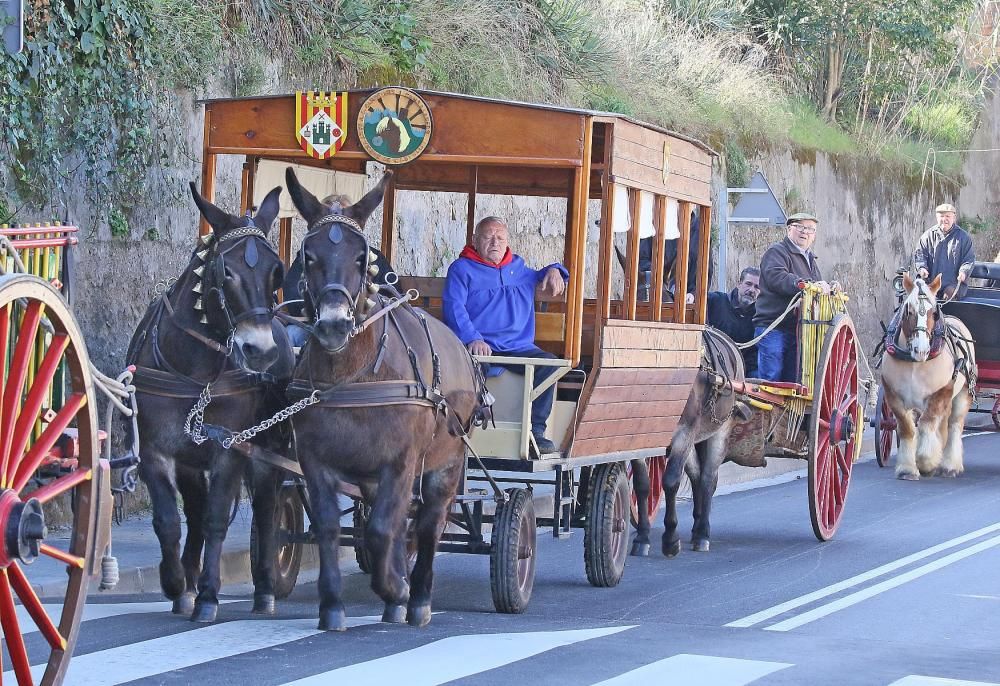 Festa de Sant Antoni de Sant Vicenç de Castellet