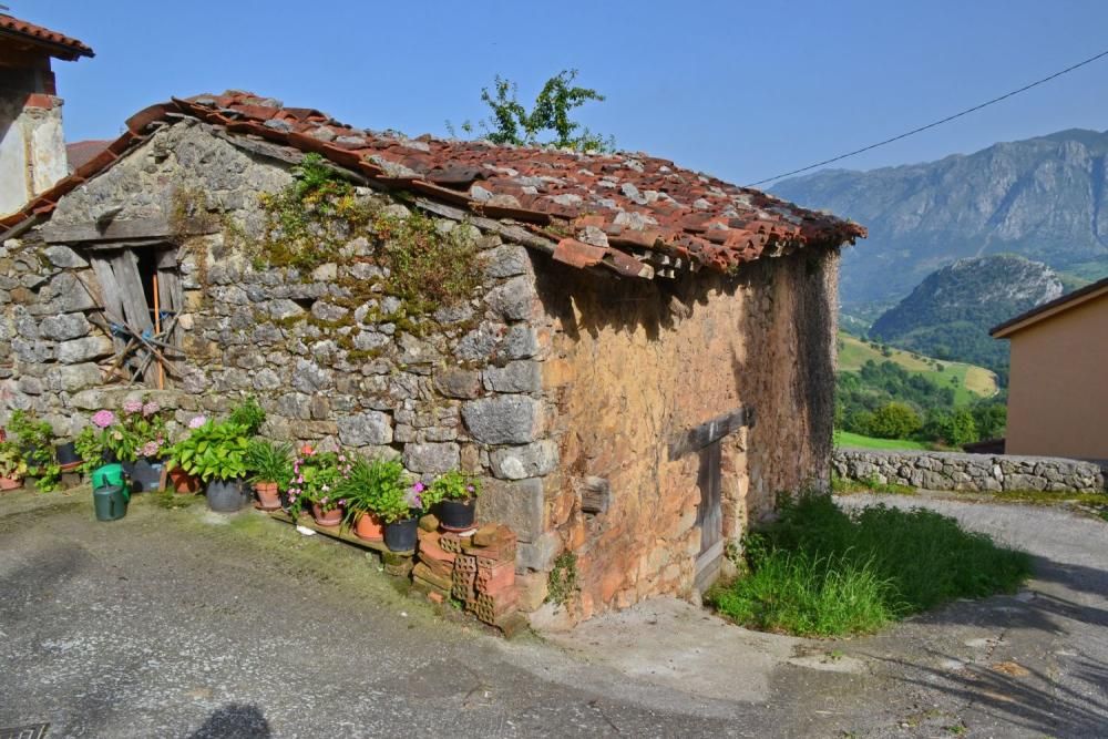 Asiegu (Cabrales), nuevo premio Pueblo Ejemplar de