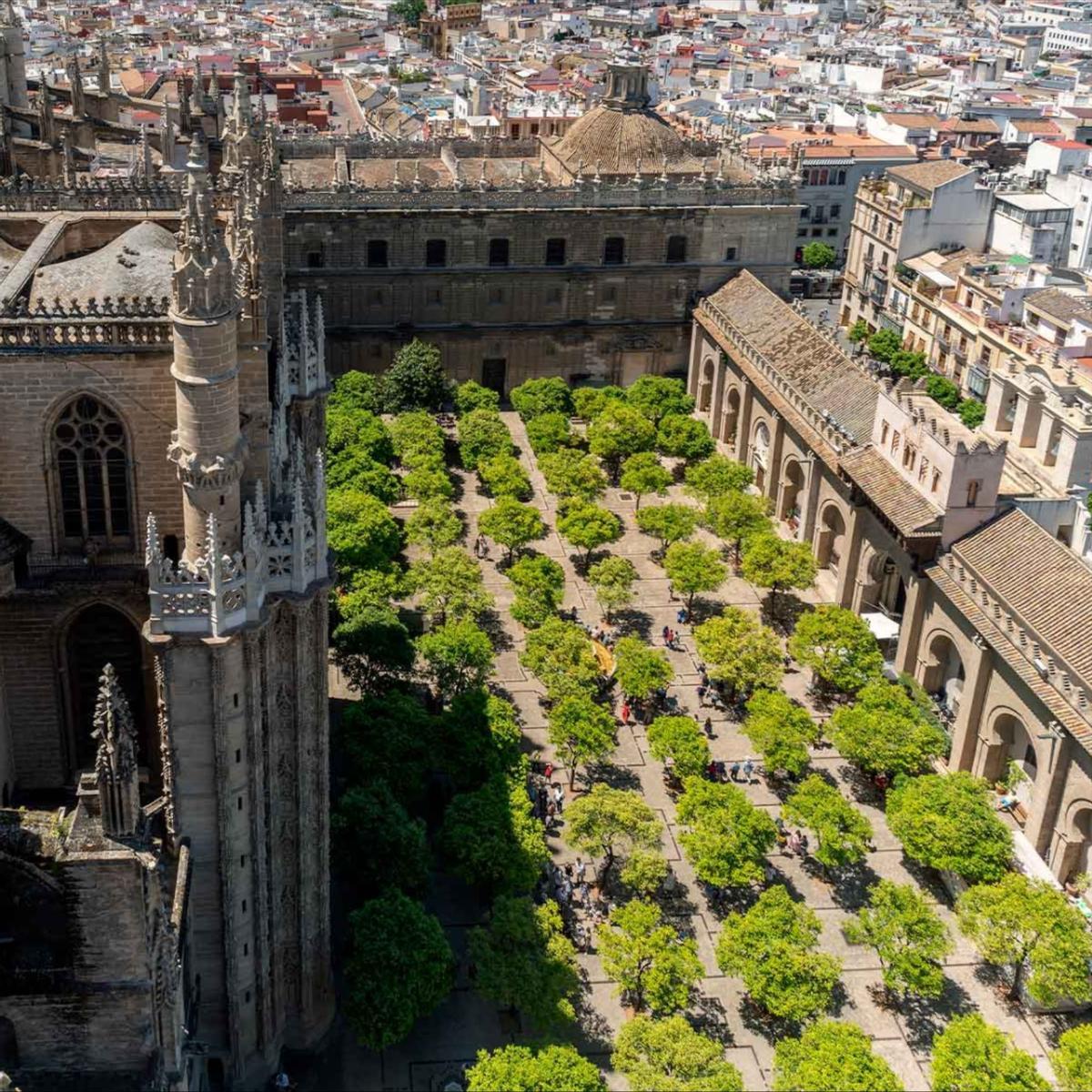 Las ciudades necesitan arbolado para combatir el efecto 'isla de calor'